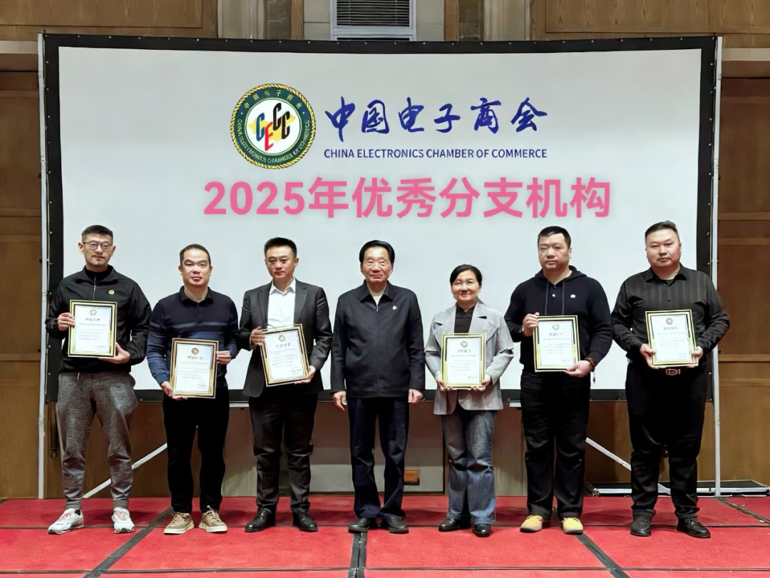 中国电子商会召开2025年度分支机构工作总结会共谋行业高质量发展新篇章